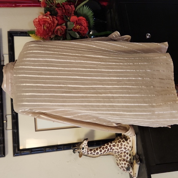 Long, Sheer Beige Blouse - Picture 3 of 4